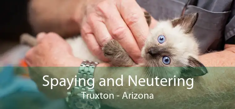 Spaying and Neutering Truxton - Arizona