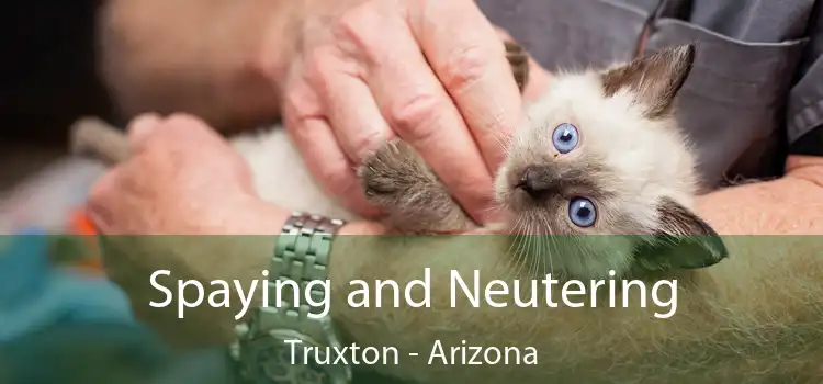 Spaying and Neutering Truxton - Arizona