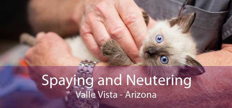 Spaying and Neutering Valle Vista - Arizona