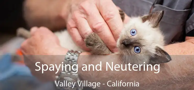 Spaying and Neutering Valley Village - California