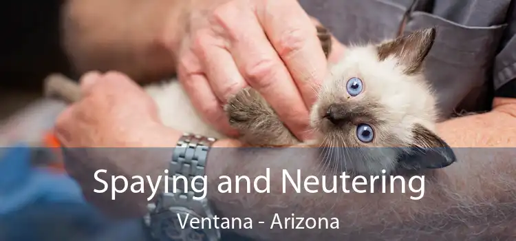 Spaying and Neutering Ventana - Arizona
