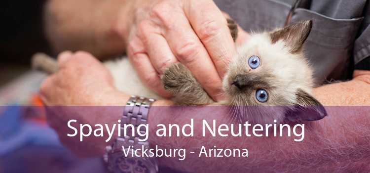 Spaying and Neutering Vicksburg - Arizona