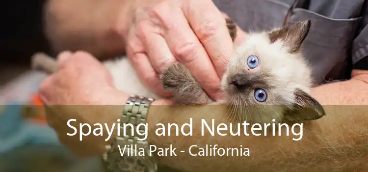 Spaying and Neutering Villa Park - California