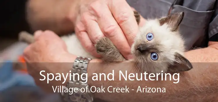 Spaying and Neutering Village of Oak Creek - Arizona