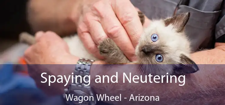 Spaying and Neutering Wagon Wheel - Arizona
