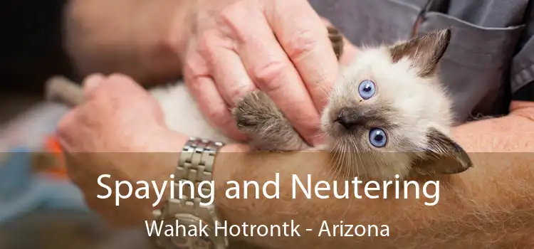 Spaying and Neutering Wahak Hotrontk - Arizona