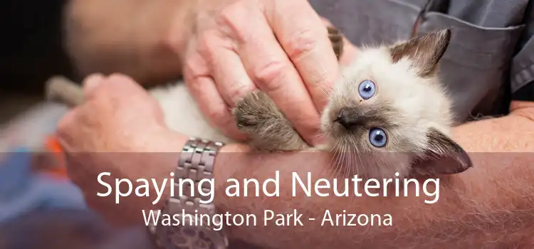 Spaying and Neutering Washington Park - Arizona