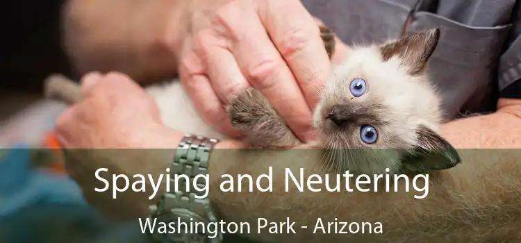 Spaying and Neutering Washington Park - Arizona