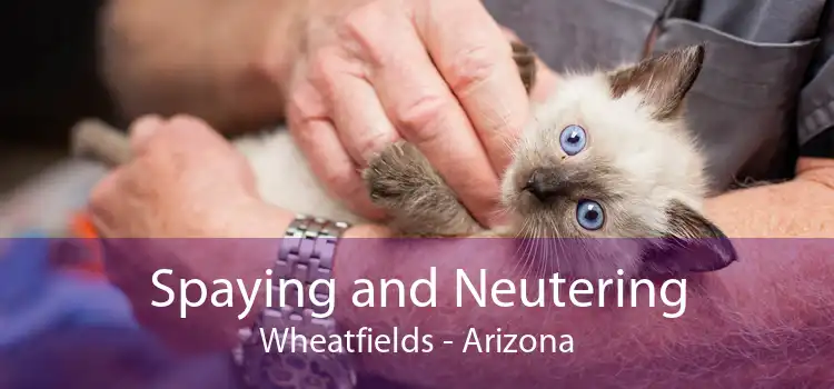 Spaying and Neutering Wheatfields - Arizona