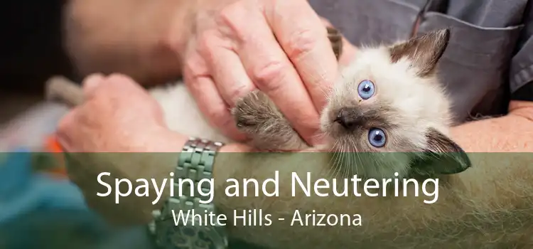 Spaying and Neutering White Hills - Arizona