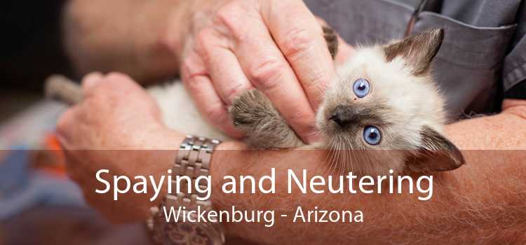 Spaying and Neutering Wickenburg - Arizona