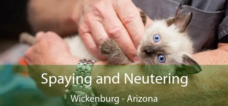 Spaying and Neutering Wickenburg - Arizona