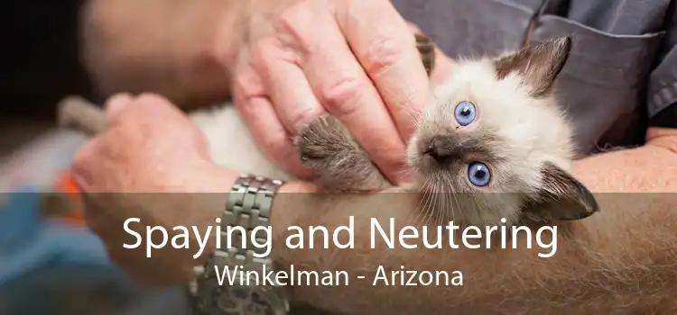 Spaying and Neutering Winkelman - Arizona