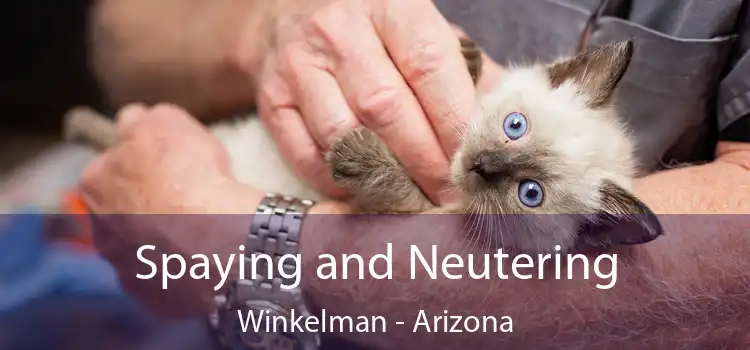 Spaying and Neutering Winkelman - Arizona