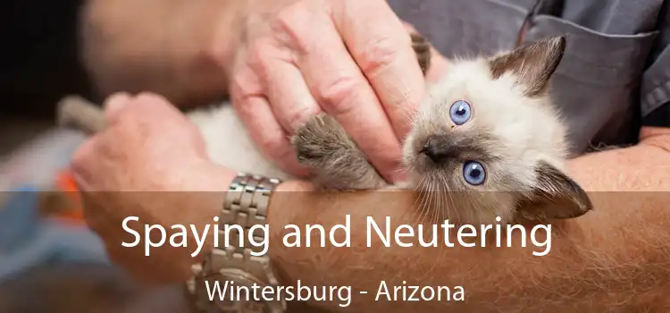 Spaying and Neutering Wintersburg - Arizona