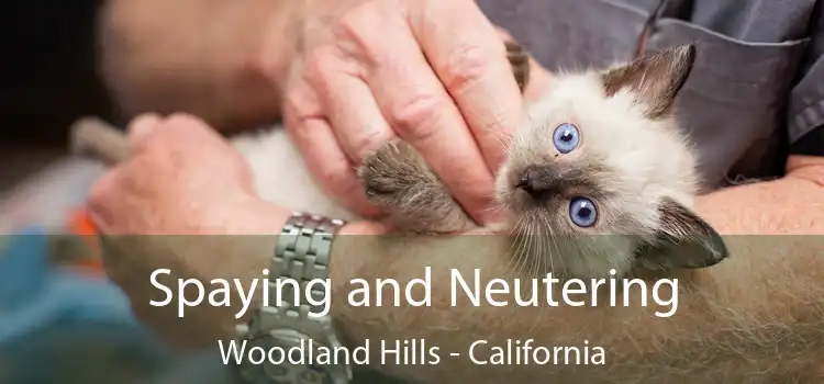 Spaying and Neutering Woodland Hills - California