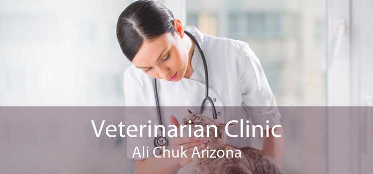 Veterinarian Clinic Ali Chuk Arizona