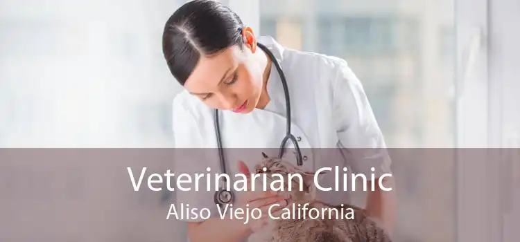 Veterinarian Clinic Aliso Viejo California