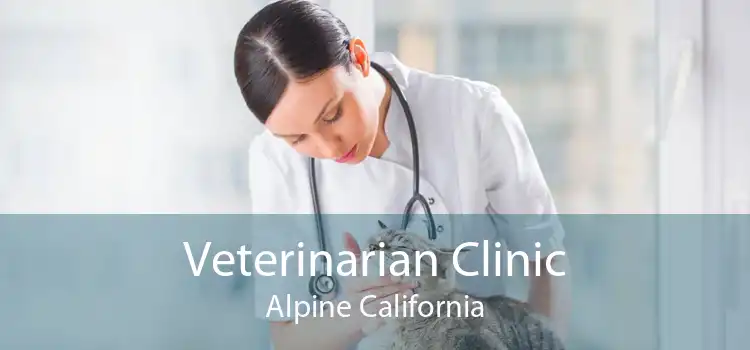 Veterinarian Clinic Alpine California