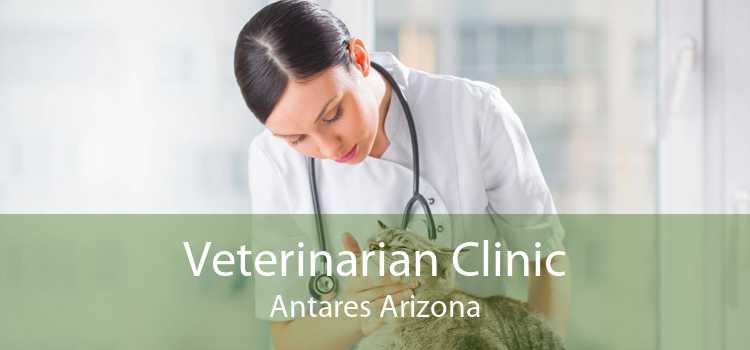 Veterinarian Clinic Antares Arizona