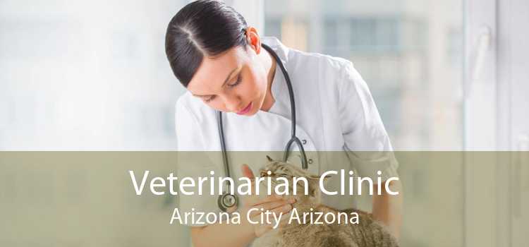 Veterinarian Clinic Arizona City Arizona