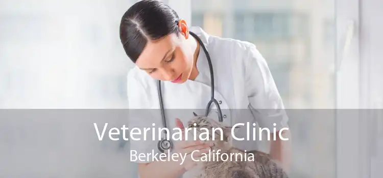 Veterinarian Clinic Berkeley California