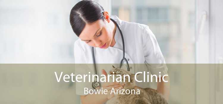 Veterinarian Clinic Bowie Arizona
