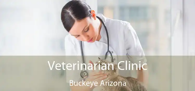 Veterinarian Clinic Buckeye Arizona
