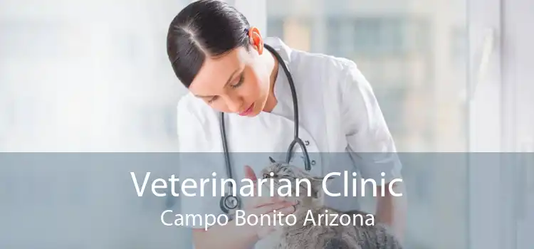 Veterinarian Clinic Campo Bonito Arizona