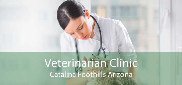 Veterinarian Clinic Catalina Foothills Arizona