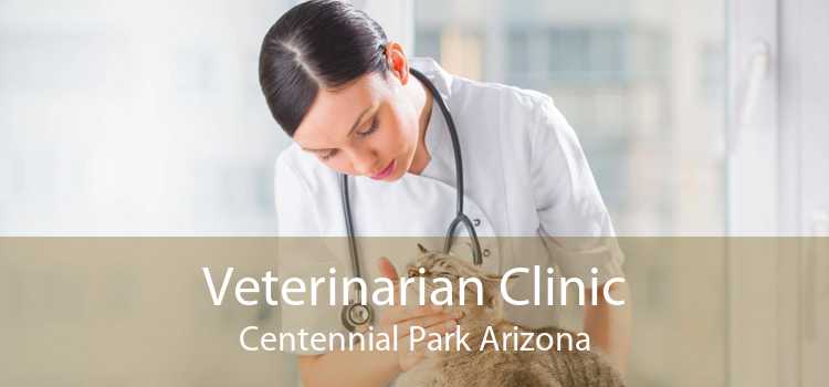 Veterinarian Clinic Centennial Park Arizona