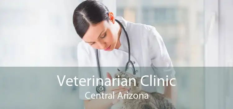 Veterinarian Clinic Central Arizona