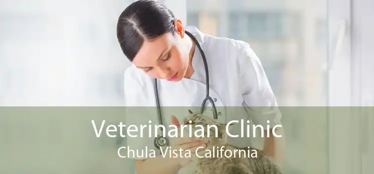 Veterinarian Clinic Chula Vista California