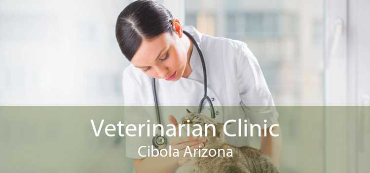 Veterinarian Clinic Cibola Arizona