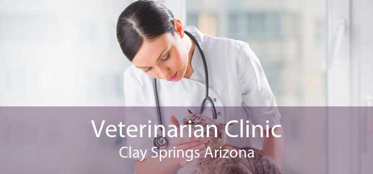 Veterinarian Clinic Clay Springs Arizona