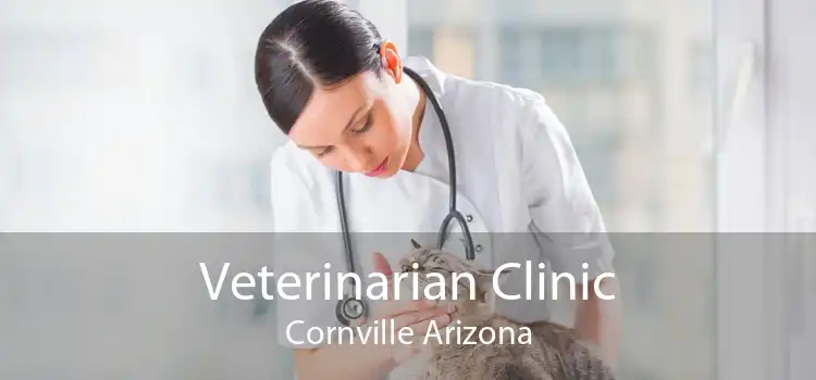Veterinarian Clinic Cornville Arizona