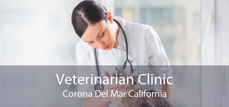 Veterinarian Clinic Corona Del Mar California