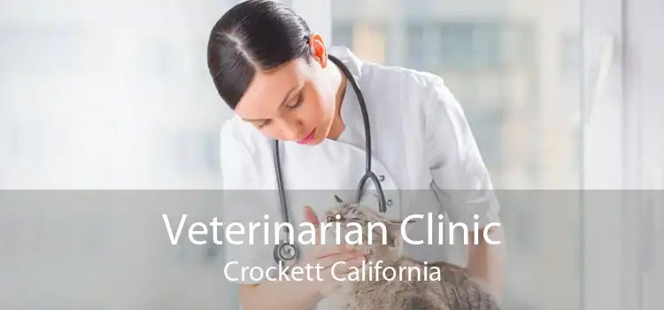 Veterinarian Clinic Crockett California