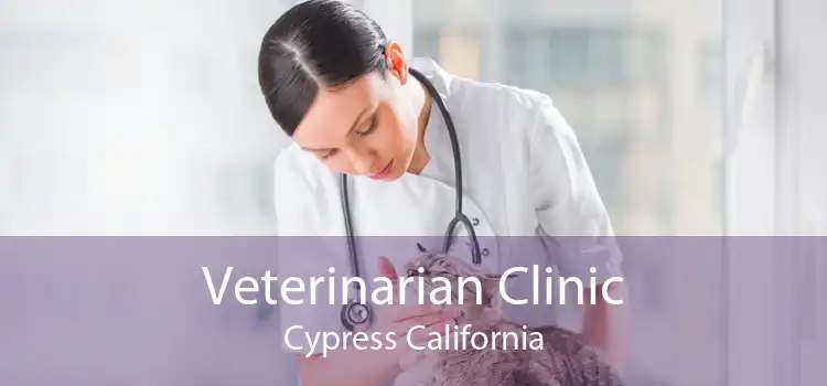 Veterinarian Clinic Cypress California