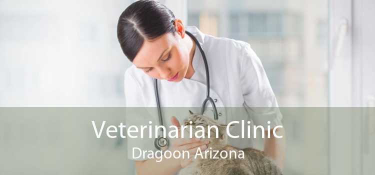 Veterinarian Clinic Dragoon Arizona