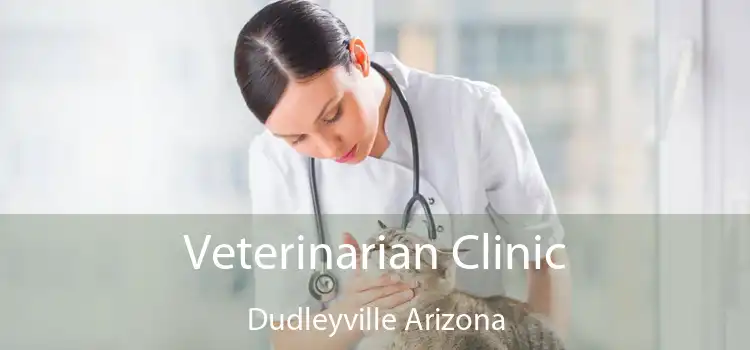 Veterinarian Clinic Dudleyville Arizona