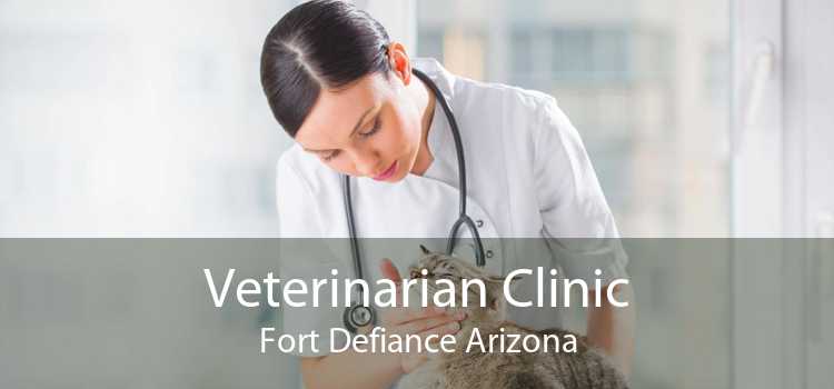 Veterinarian Clinic Fort Defiance Arizona