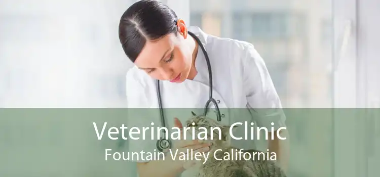 Veterinarian Clinic Fountain Valley California