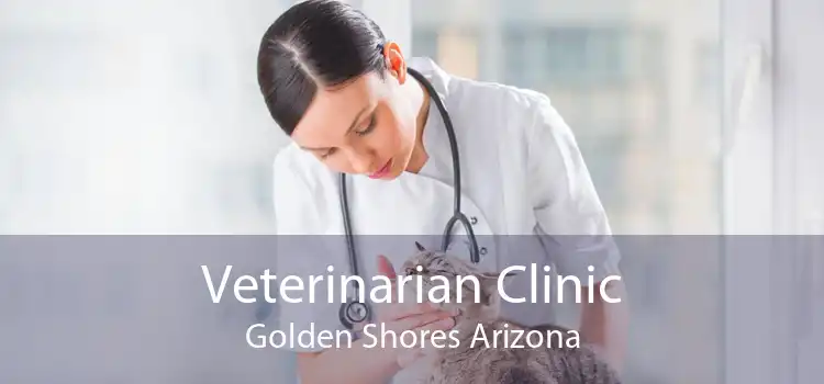 Veterinarian Clinic Golden Shores Arizona