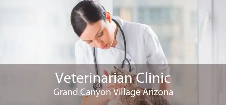 Veterinarian Clinic Grand Canyon Village Arizona