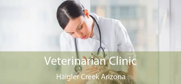 Veterinarian Clinic Haigler Creek Arizona