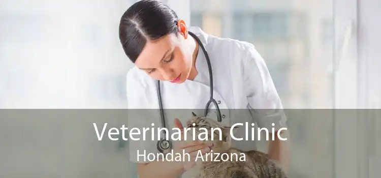 Veterinarian Clinic Hondah Arizona