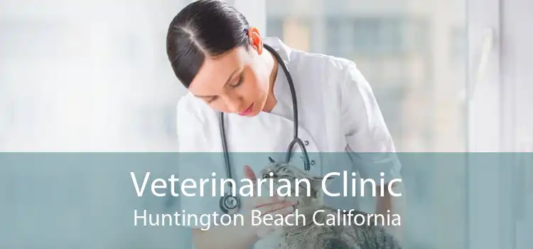 Veterinarian Clinic Huntington Beach California