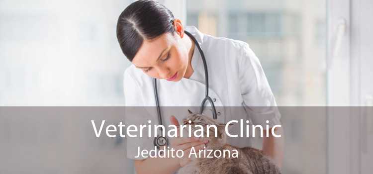 Veterinarian Clinic Jeddito Arizona