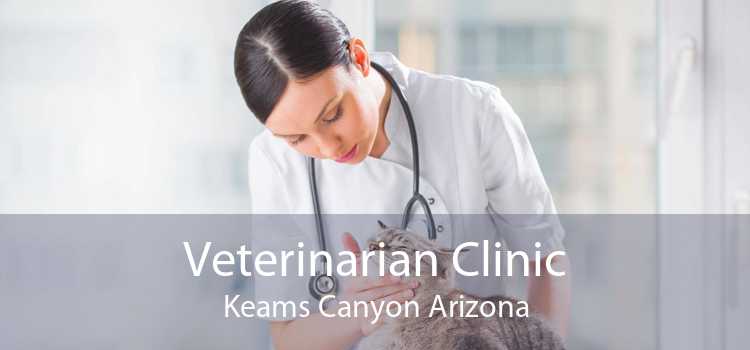 Veterinarian Clinic Keams Canyon Arizona